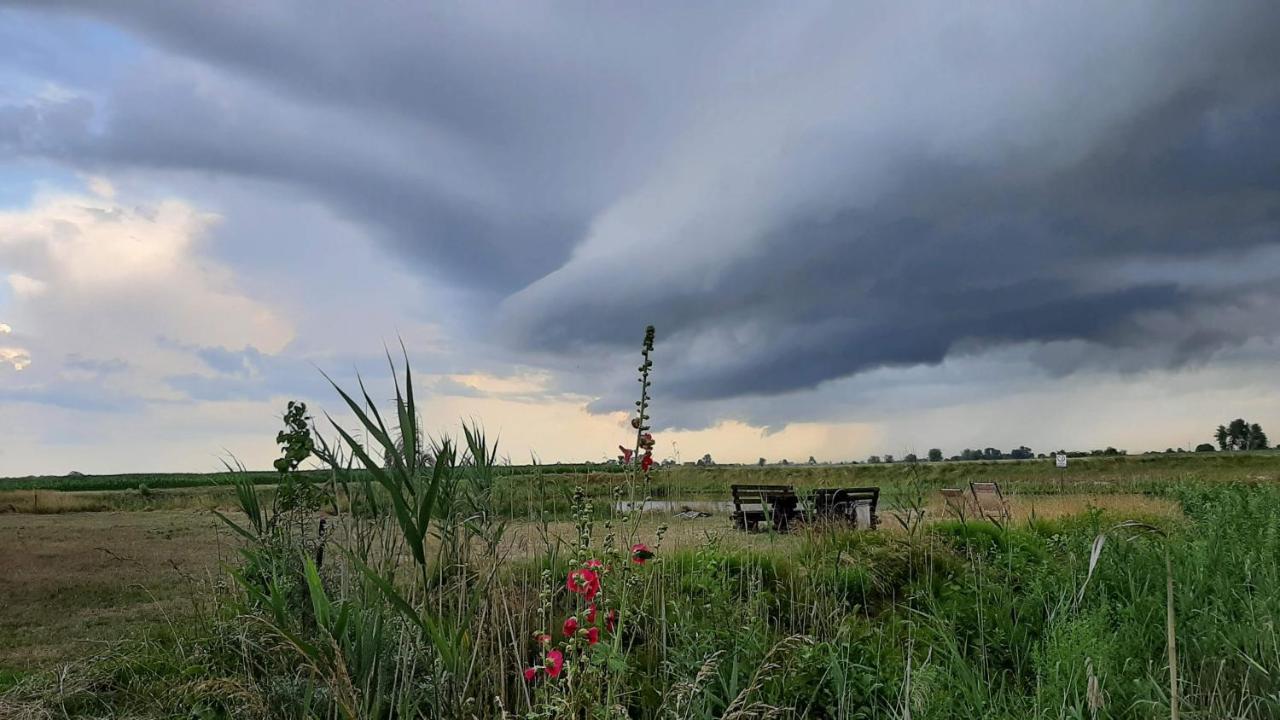 Orzechowy Dworek Nowy Dwór Gdański Eksteriør bilde
